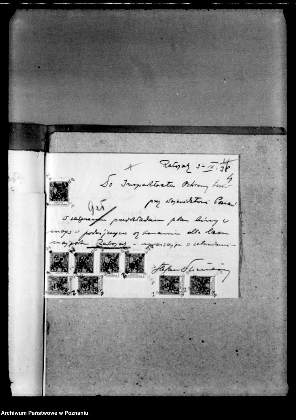 Obraz 8 z jednostki "Majętność leśna Rakojady powiat wągrowiecki"