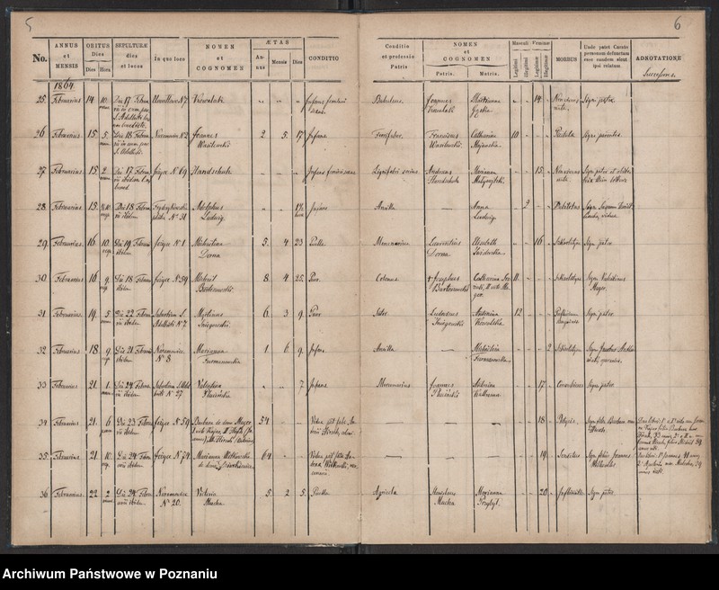 Obraz 5 z jednostki "Księga zgonów"