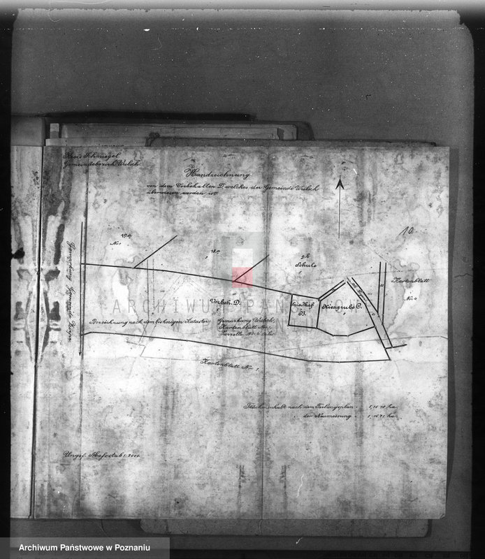 Obraz 14 z jednostki "Las gminy Olszewo powiat ostrowski"