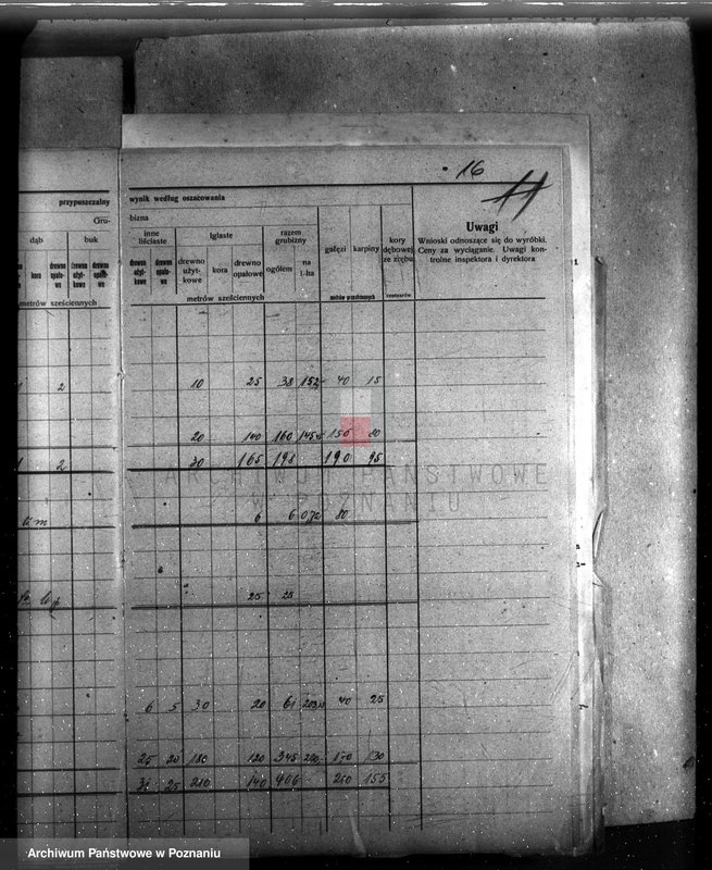 image.from.unit.number "Majętność Basków powiat krotoszyński /nadzór nad gospodarką leśną/"