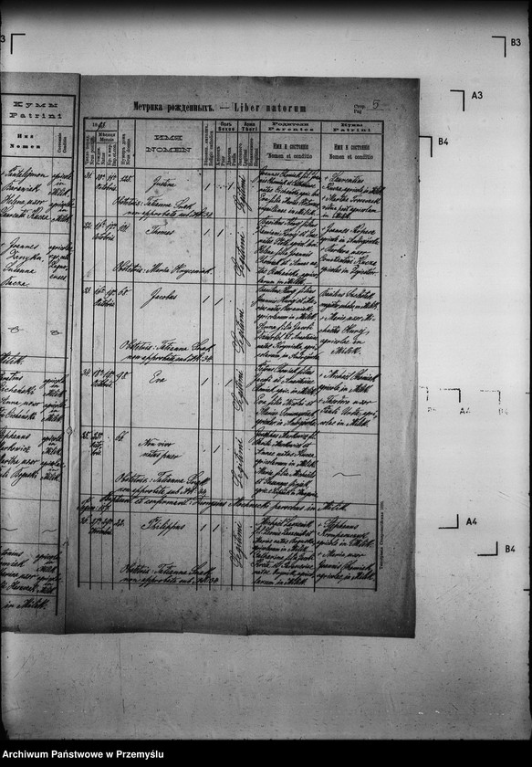 Obraz 9 z jednostki "[Kopie ksiąg metrykalnych parafii Milik z filią Andrzejówka (dekanat Muszyna)]"