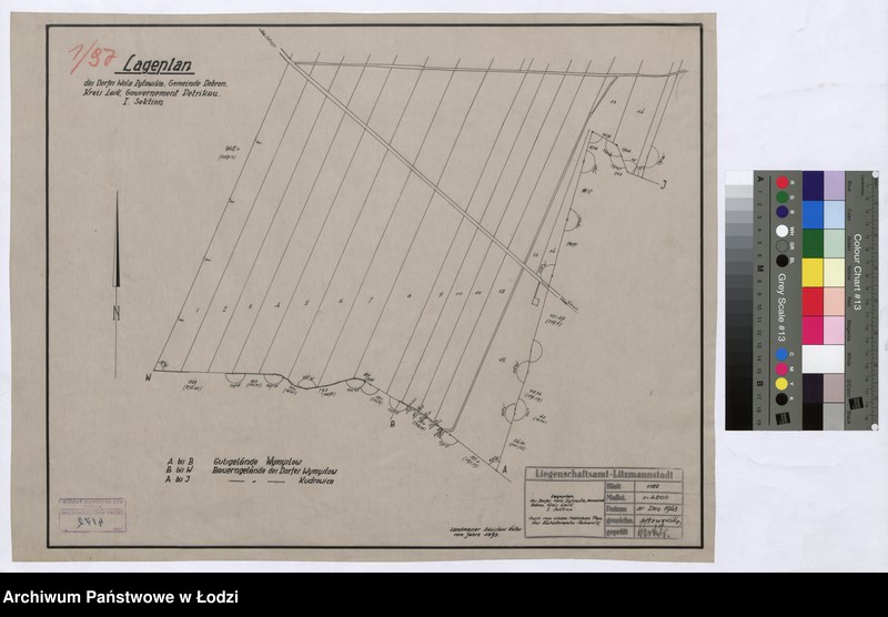 Obraz 1 z jednostki "Lageplan des Dorfes Wola Żytowska, Gemeinde Dobron, Kreis Lask, Gouvernement Petrikau. I Sektion"