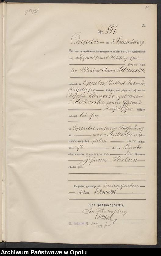 image.from.unit.number "Urząd Stanu Cywilnego w Opolu 1907 Rejestr Urodzeń miejscowa Nr 878 do 1277"