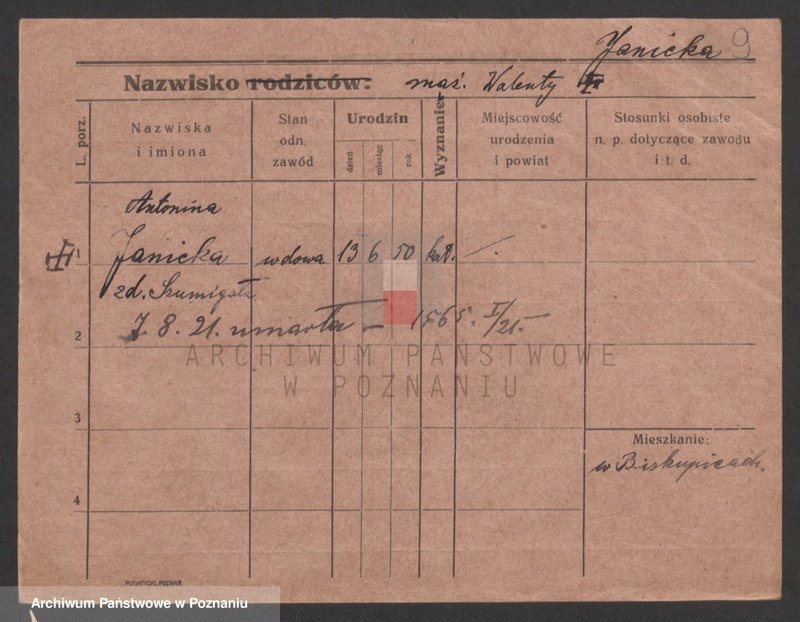 Obraz 9 z jednostki "Janic - Janicki"