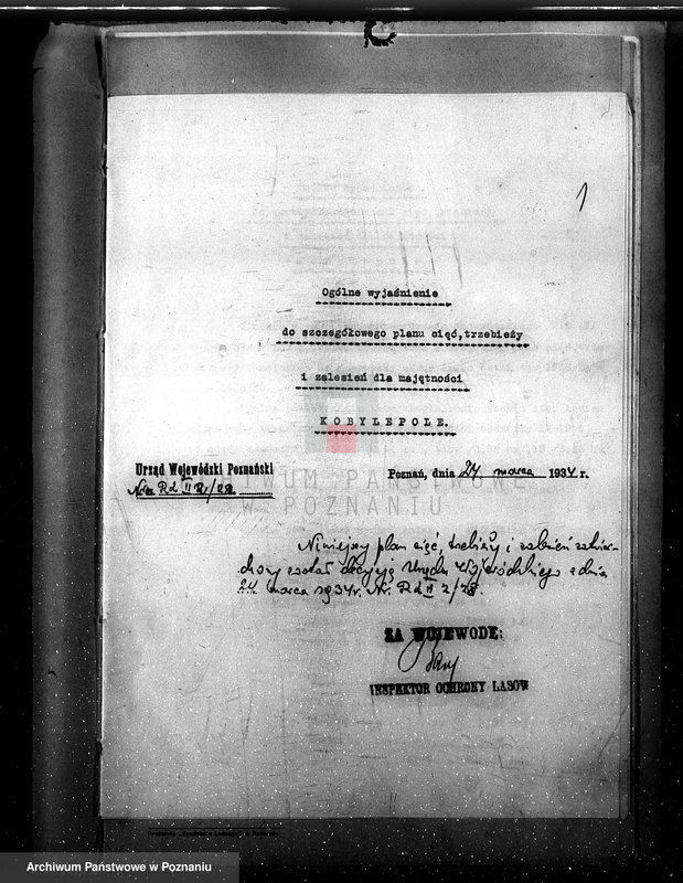 Obraz 5 z jednostki "Program urządzenia gospodarstwa leśnego dla lasu majętności Kobylepole powiat poznański 1933/34-1938/39"