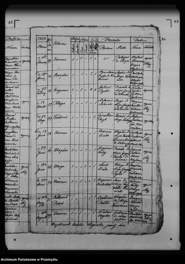 Obraz 9 z jednostki "[Kopie ksiąg metrykalnych parafii Chliple z filią Sadkowice (dekanat Mościska)]"