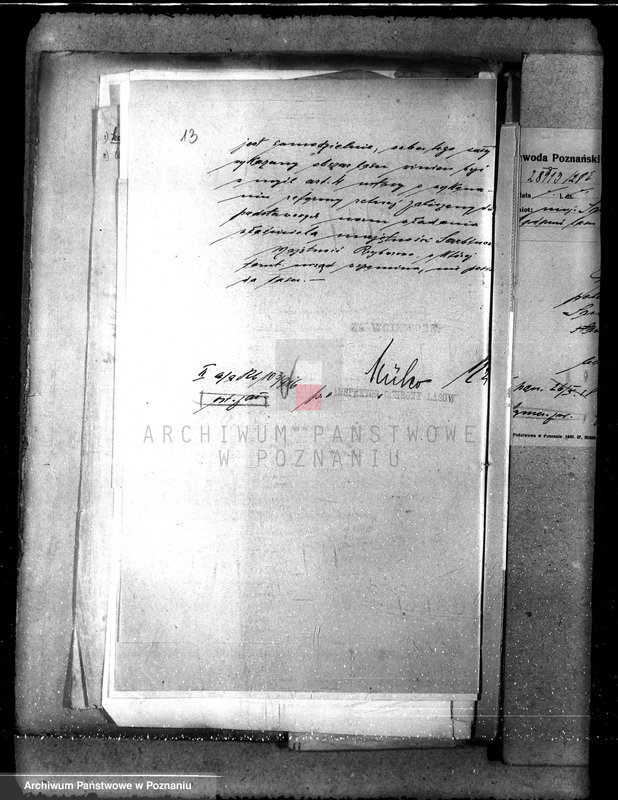 Obraz 16 z jednostki "Majętność leśna Sarbinowo w powiecie gostyńskim"