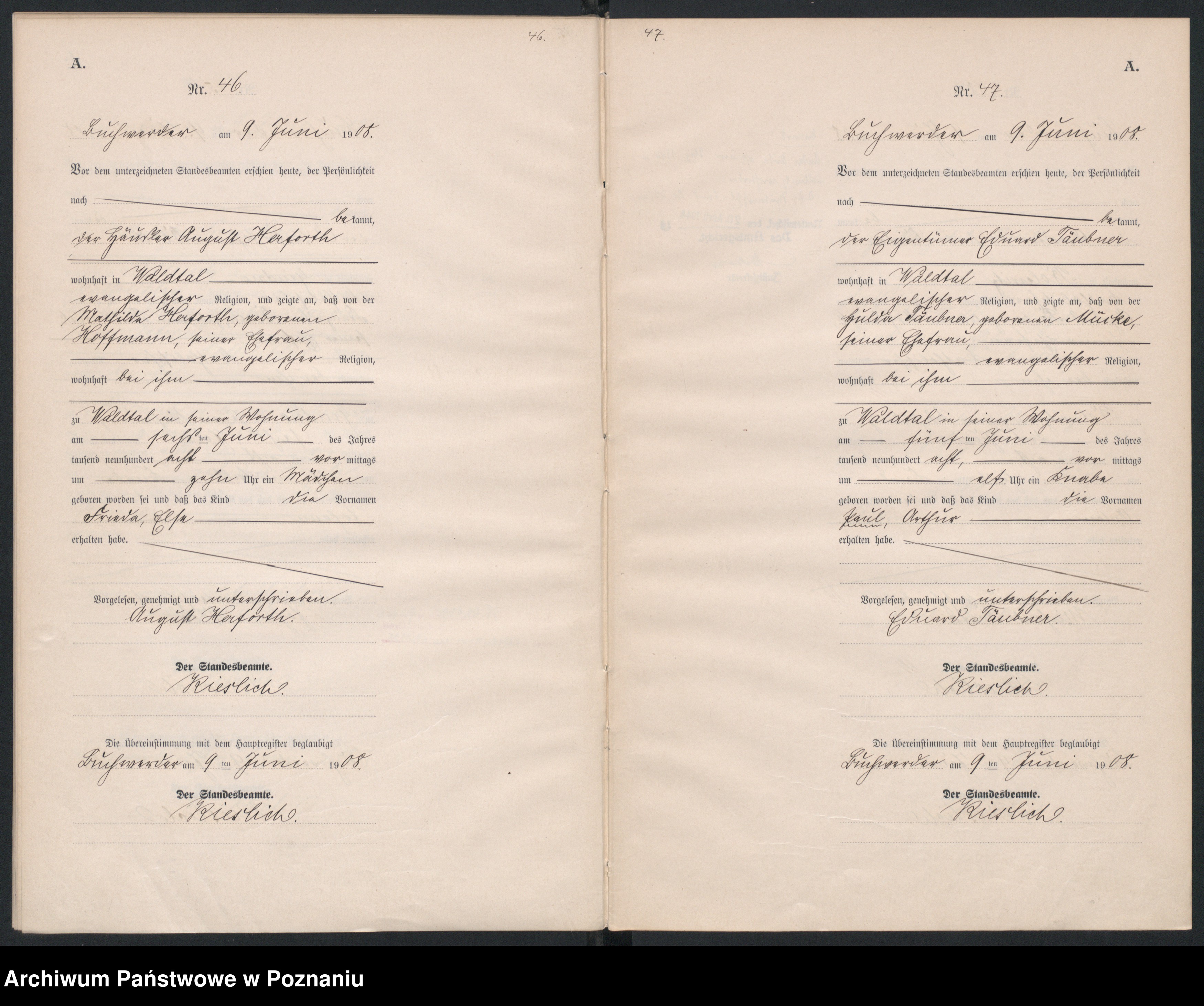 Skan z jednostki: Księga pierwopisów urodzeń