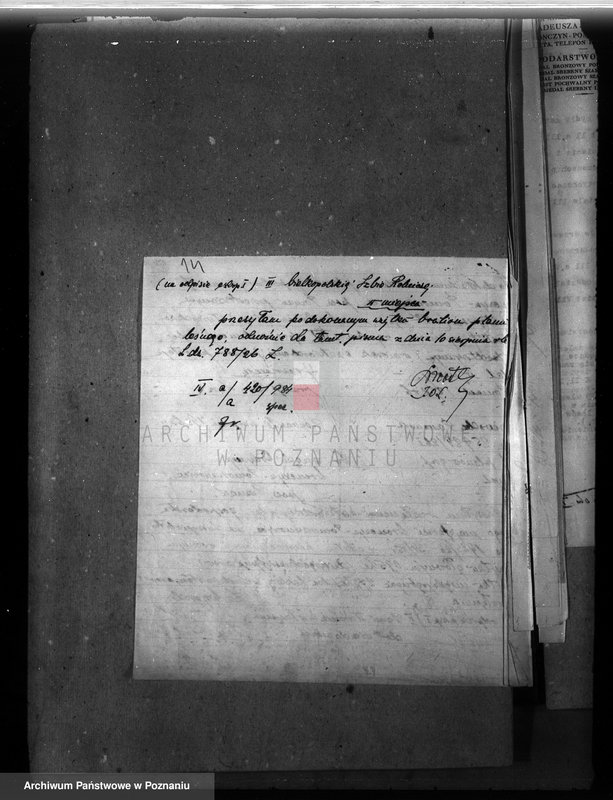 Obraz 17 z jednostki "Majętność leśna Wronczyn-Pomarzanowice powiat poznański"