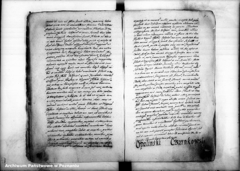 Obraz 14 z jednostki "Inscriptiones [inducta]"