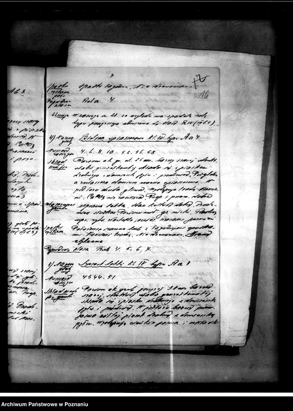 Obraz 19 z jednostki "Oszacowanie majętności Nietuszkowo powiat chodzieski"