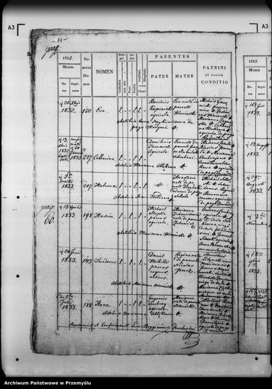 Obraz 19 z jednostki "[Kopie ksiąg metrykalnych parafii Mościska z filiami Lipniki, Rudniki, Zawada (dekanat Mościska)]"