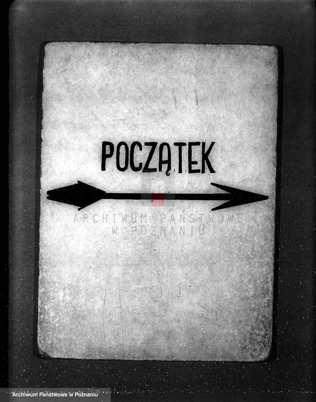 image.from.unit.number "Sprawozdanie z działalności organów ochrony lasów za rok 1934"