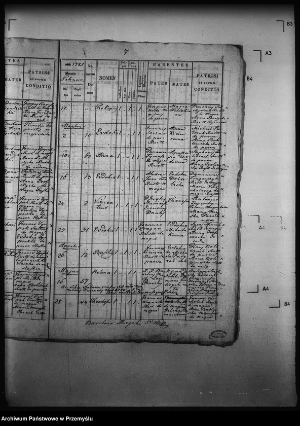 Obraz 12 z jednostki "[Kopie ksiąg metrykalnych parafii Wierzchomla Wielka z filiami Wierzchomla Mała, Zubrzyk (dekanat Muszyna)]"