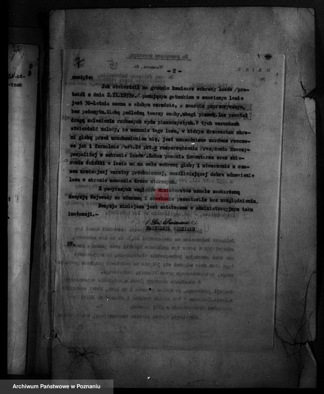 Obraz 11 z jednostki "Krzywekolano powiat mogileński /las Juliuszy Rodenwalda/"