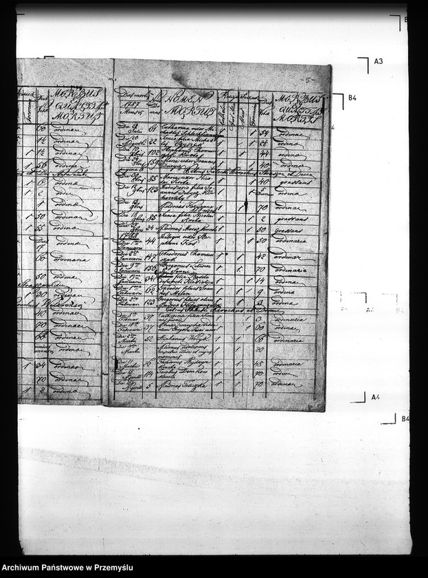 Obraz 9 z jednostki "[Kopie ksiąg metrykalnych parafii Straszewice (dekanat Stary Sambor)]"