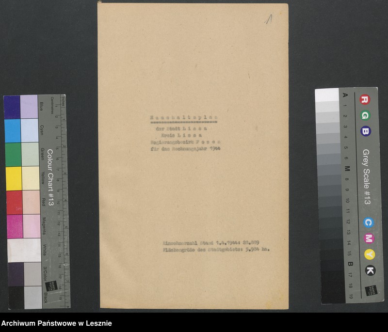 Obraz 4 z jednostki "[Haushaltssatzung der Stadt Lissa]"