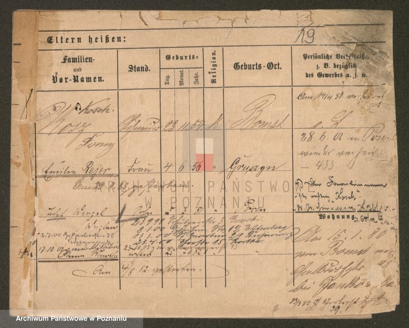 Obraz 19 z jednostki "Kosubucki - Kotas"