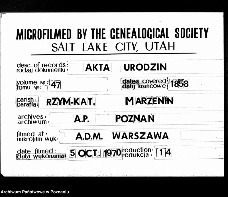 Obraz 7 z jednostki "Duplikat urodzonych"