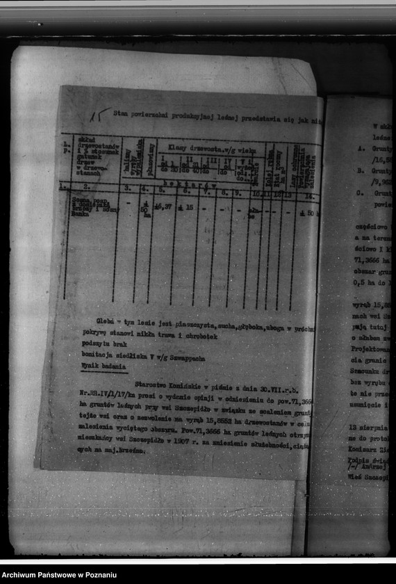 Obraz 20 z jednostki "Gmina Brzeźno powiat koniński /nadzór nad gospodarką leśną/"