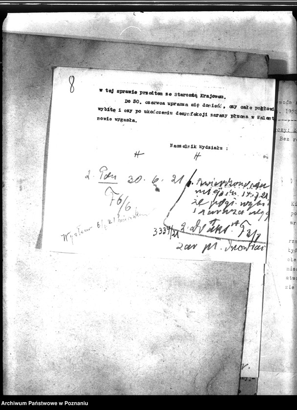 Obraz 13 z jednostki "Zaraza płucna - Inowrocław"