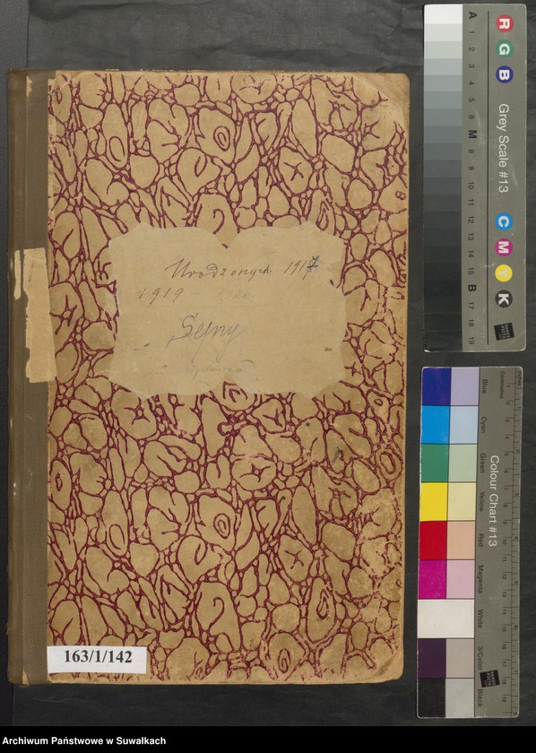 image.from.unit.number "[Księga akt] urodzonych 1917 [1918] 1919 1920"