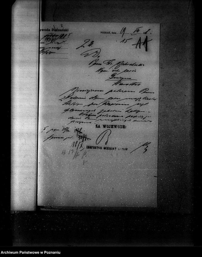 Obraz 19 z jednostki "Majętność leśna Stołężyn powiat wągrowiecki"