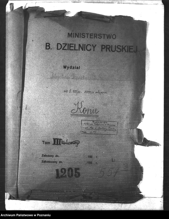 Obraz 4 z jednostki "Konie"