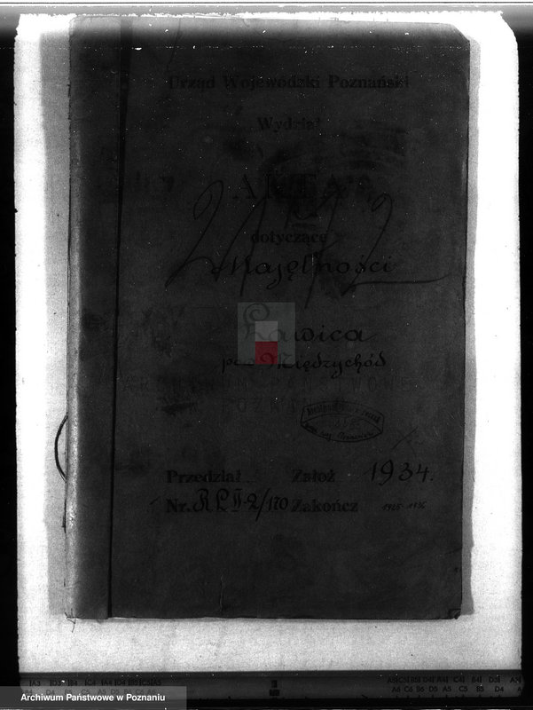 Obraz 4 z jednostki "Majętność leśna Ławica w powiecie międzychodzkim /nadzór nad gospodarką leśną/"