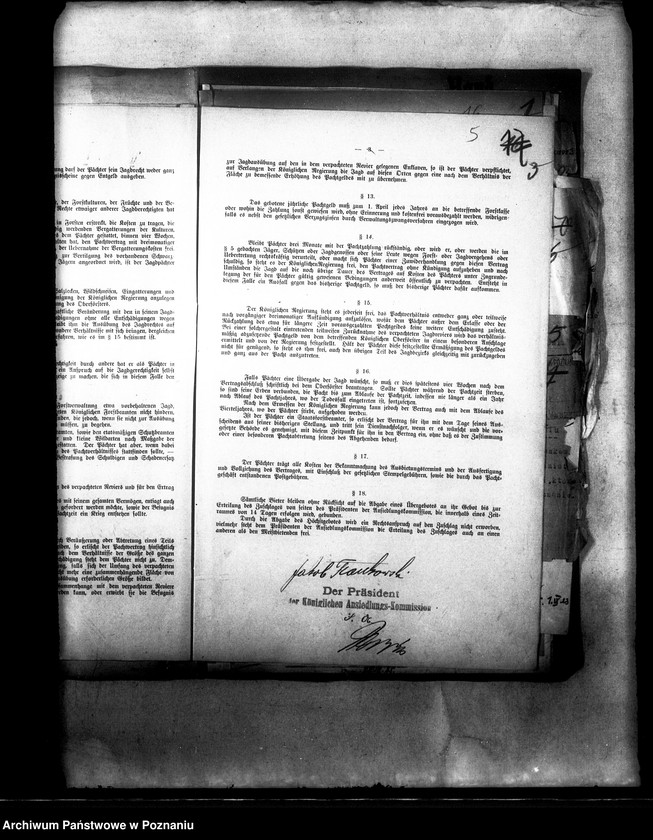 Obraz 9 z jednostki "Polowanie na jeziorze Bytyńskim Komorowo-Gorzewice"