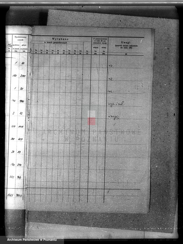 Obraz 7 z jednostki "Nadzór nad gospodarką leśną majątku Sławno powiat czarnkowskim"