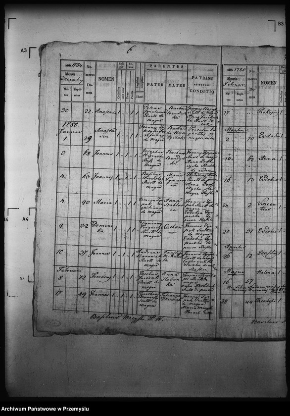Obraz 11 z jednostki "[Kopie ksiąg metrykalnych parafii Wierzchomla Wielka z filiami Wierzchomla Mała, Zubrzyk (dekanat Muszyna)]"