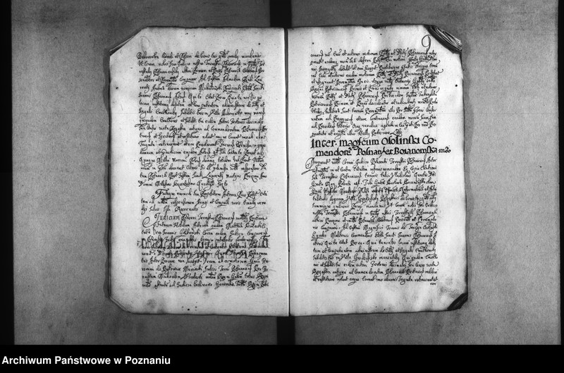 Obraz 12 z jednostki "Decreta [inducta]"