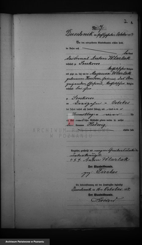 image.from.unit.number "Księga urodzeń"