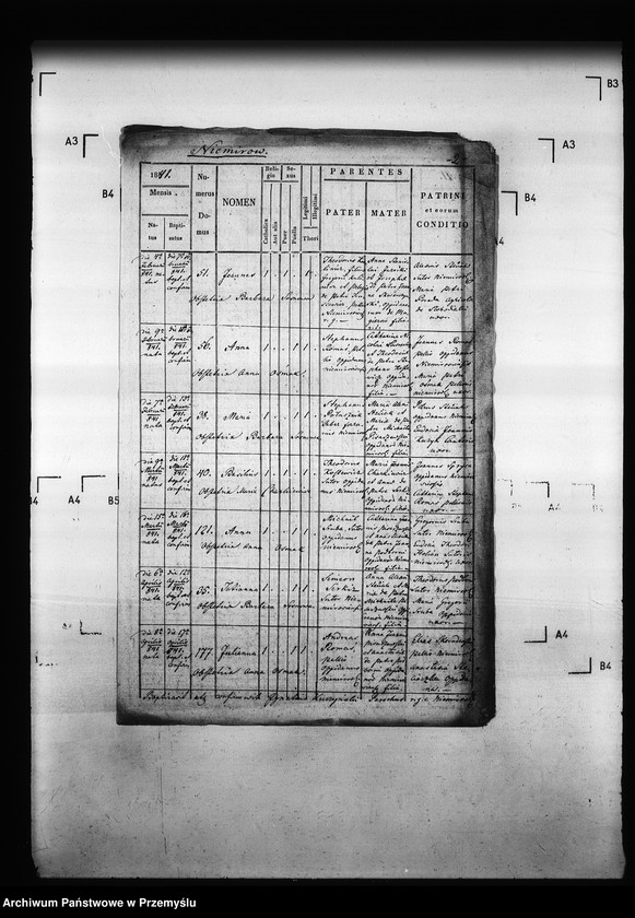 Obraz 6 z jednostki "[Kopie ksiąg metrykalnych parafii Niemirów z filiami Wólka Niemirowska i Przedmieście (dekanat Niemirów)]"