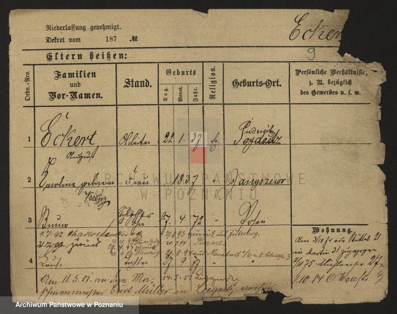 Obraz 11 z jednostki "Eckert - Ehly"