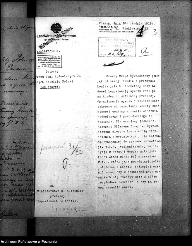 Obraz 8 z jednostki "Wywóz koni"