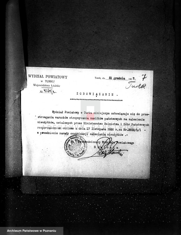 Obraz 11 z jednostki "Zalesienie nieużytków powiatu tureckiego"