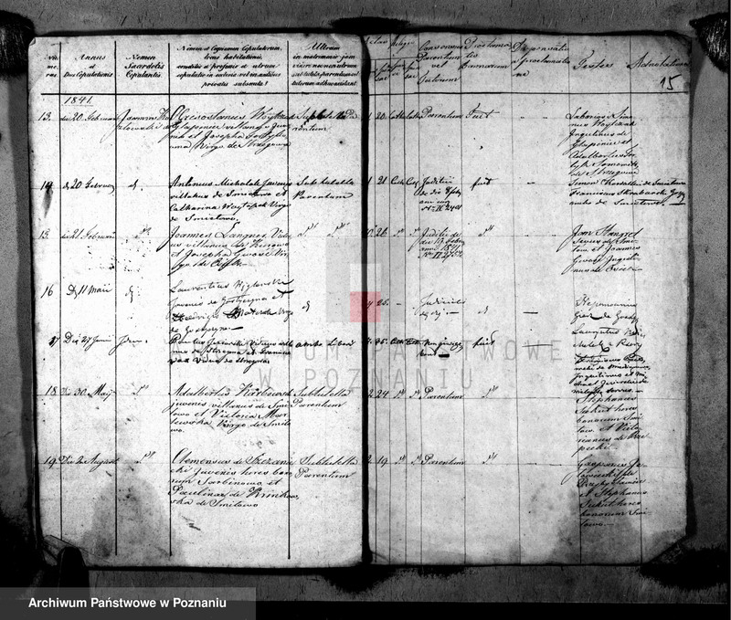 image.from.unit.number "Metrices copulatorum"