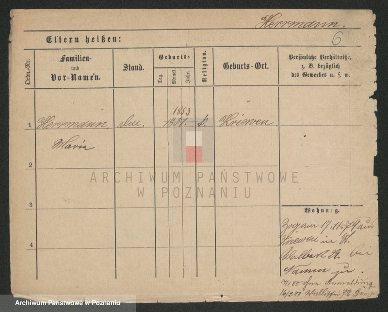 Obraz 6 z jednostki "Herman - Hermyła"