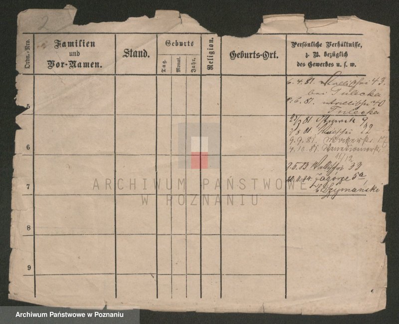 Obraz 2 z jednostki "Murcha - Musiał"