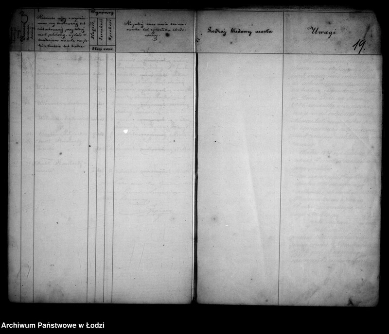 Obraz 17 z jednostki "Operat tyczący się budowy nowych i reparacji starych mostów w mieście Łodzi"