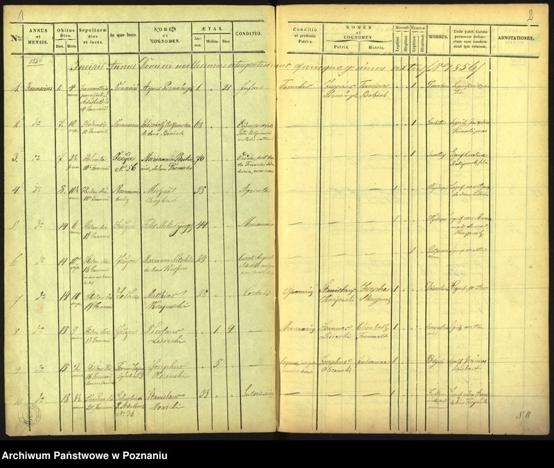 Obraz 4 z jednostki "Księga zgonów"