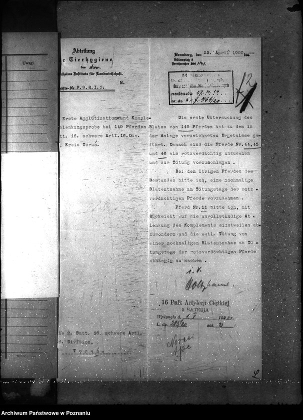 Obraz 5 z jednostki "Sprawy szczegółowo-Nosacizna"