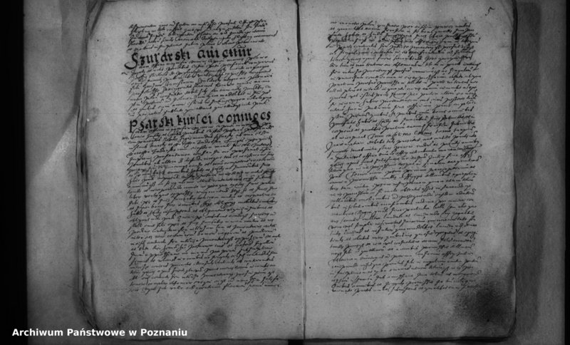 Obraz 8 z jednostki "Inscriptiones [inducta]"