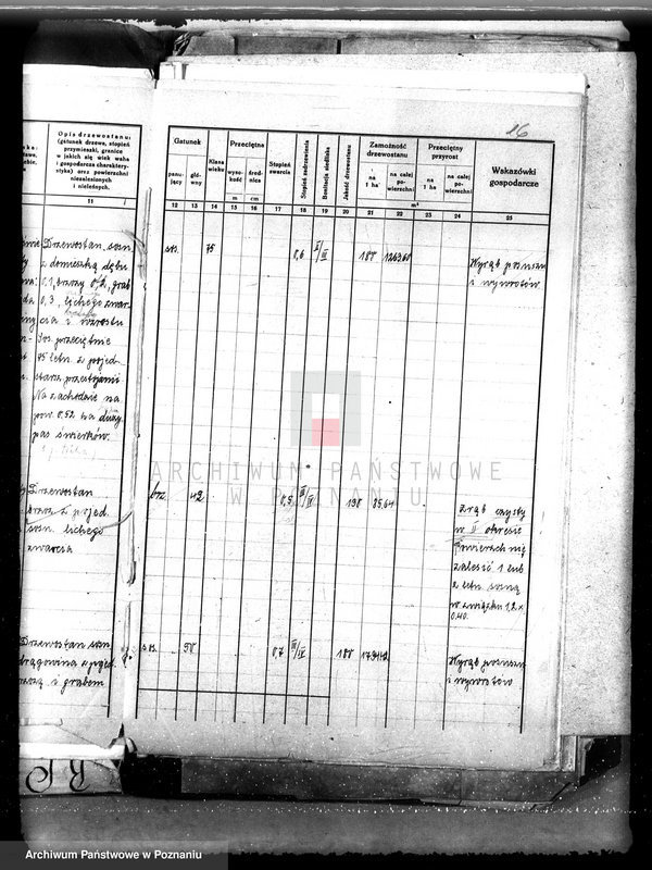 Obraz 20 z jednostki "Nadzór nad gospodarką w lasach majątku Lubinia-Wielka w powiecie jarocińskim"