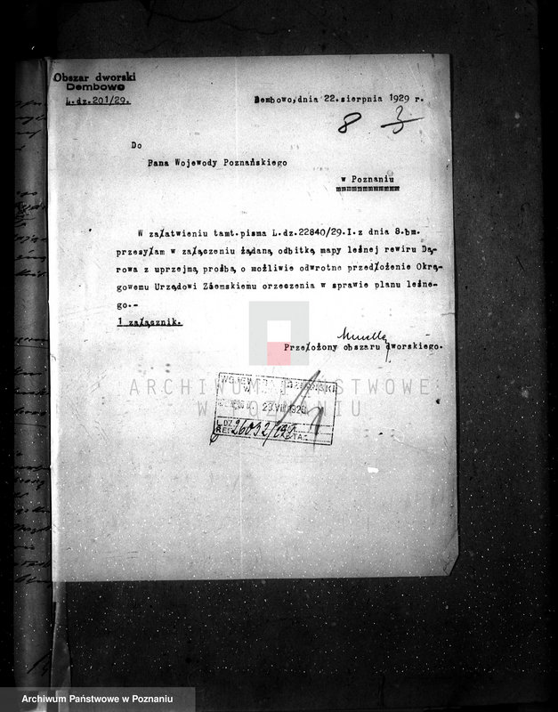 Obraz 12 z jednostki "Majętność leśna Dębowo powiat wyrzyski"