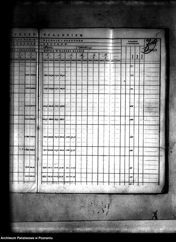 Obraz 8 z jednostki "Szczegółowy rejestr pomiarowo-szacunkowy wsi Spławie powiatu konińskiego przed scaleniem"