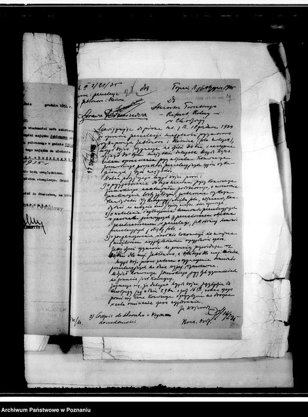 Obraz 10 z jednostki "Parcelacja rządowa majątku Jabłonowo powiat chodzieski"