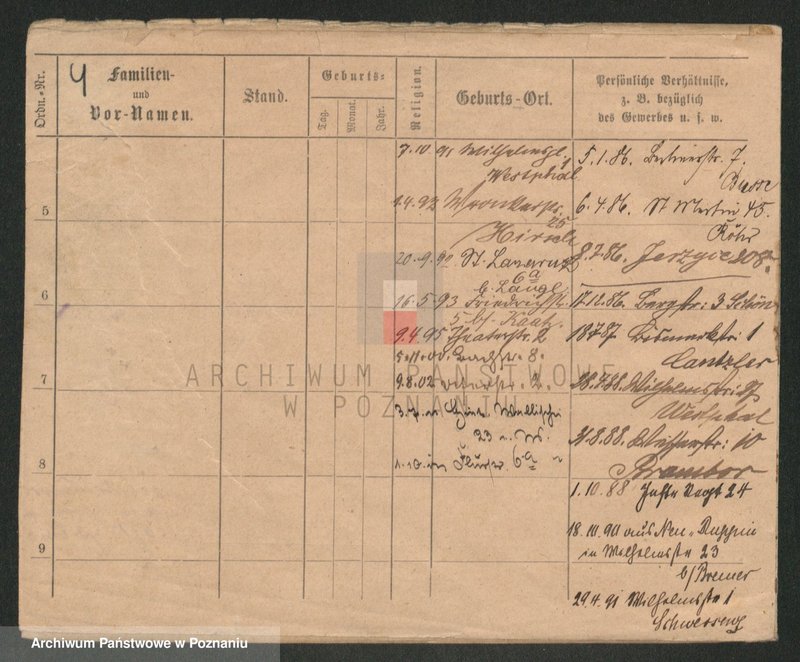 Obraz 4 z jednostki "Knop - Knytel"